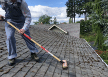 The Ultimate Guide to Roof Cleaning Services Methods, Costs, and Long-Term Benefits